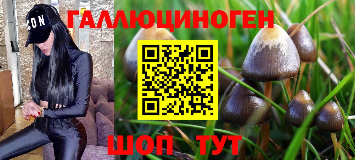 Ханты-Мансийск  Галлюциногенные грибы Psilocybe  Галлюциногенные грибы ЛСД  Вход с VPN 