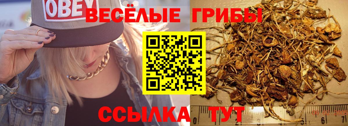 Псилоцибиновые грибы мухоморы Ханты-Мансийск